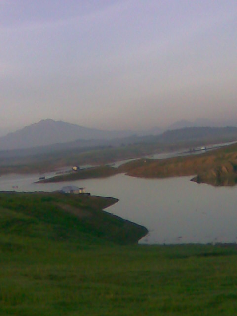 Elok